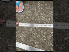 CPRI Bbu Odc-Dlc CPRI 광섬유 패치 코드