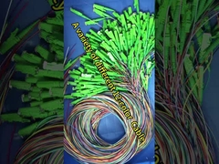 견고한 12 코어 느슨 파이프 Sc 섬유 삐그테일 0.9mm