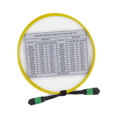 주문 여성 OS2 9/125 MPO MTP 케이블 12 섬유 다중 모드 패치 코드 online manufacture