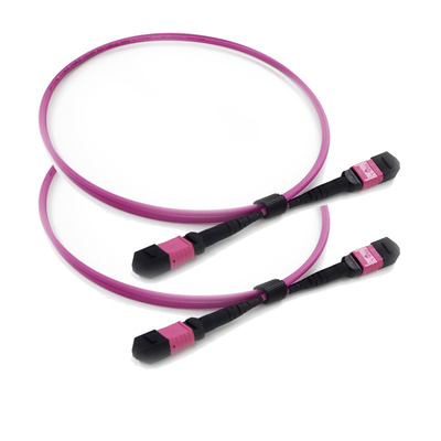 주문 PVC / LSZH MPO MTP 트렁크 케이블 엘리트 극성 비는 데이타 센터를 위해 위로 키 북돋웁니다 online manufacture