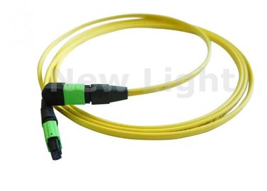 주문 APC 폴란드인 세륨을 가진 단일 모드 12 핵심 MPO MTP 케이블/MTP 간선 케이블은 찬성했습니다 online manufacture