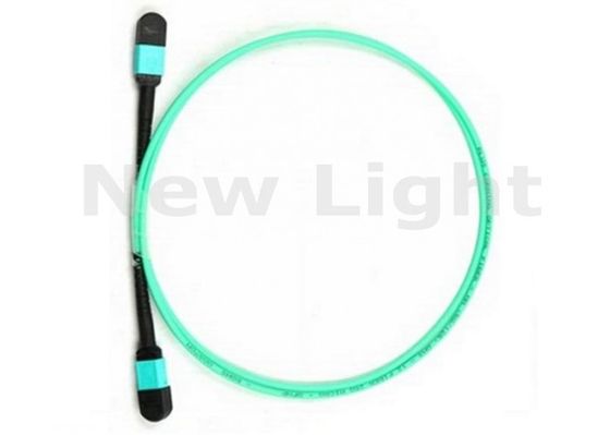 주문 1M 12 코어 MTP에서 MTP OM3 멀티모드 광섬유 패치 케이블 online manufacture