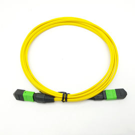 주문 MPO-MPO 여성 MPO MTP 케이블 SM 12 핵심 접속 코드 황색 케이블 10M online manufacture