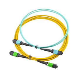주문 12 핵심 MPO MTP 케이블, SFP를 위한 노란 색깔 간선 광학 섬유 케이블 회의 online manufacture