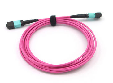 주문 MPO 12 섬유 핵심 OM4 마젠타색 MPO MTP 간선 케이블에 접속 코드 MPO online manufacture