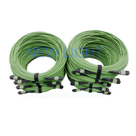 주문 Mpo Mtp 섬유 연결관을 가진 Mpo 섬유 연결관 MPO MTP 케이블 online manufacture