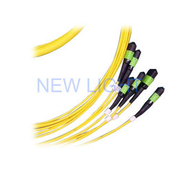 주문 G652D LSZH 단일모드 두 부분으로 된 광섬유 케이블 MPO / MTP 트렁크 코드 8/12/24 핵심 online manufacture