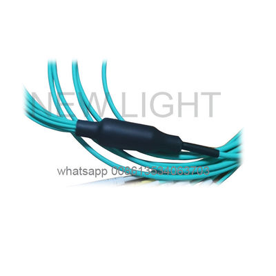 주문 40/100G 네트워크용 12코어 OM4 MPO MTP 케이블 (MPO-LC 브레이크아웃) online manufacture