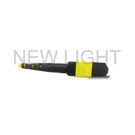 주문 (여성) MTP (QSFP28 송수신기를 위한 여성) 단일 모드 케이블 극성 B에 MTP online manufacture