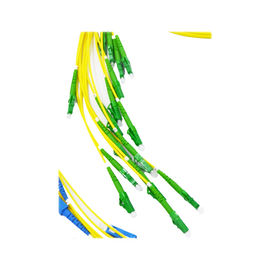 이름